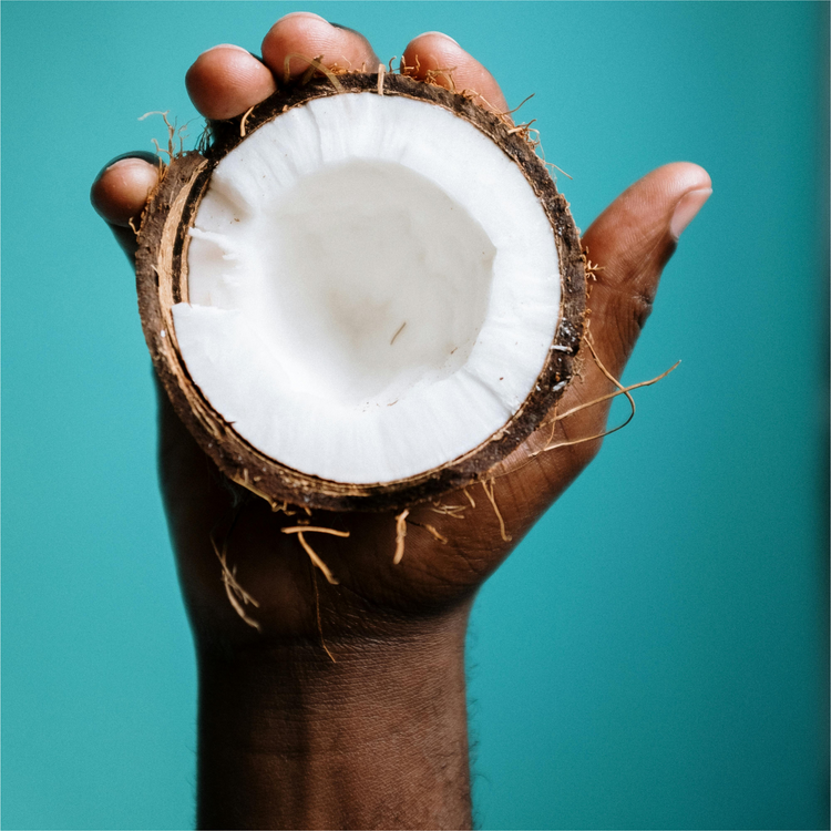 Alpha Candle – Coconut, Sandalwood & Oakmoss | Bold & Sophisticated Coconut Soy Wax Candle 9 oz