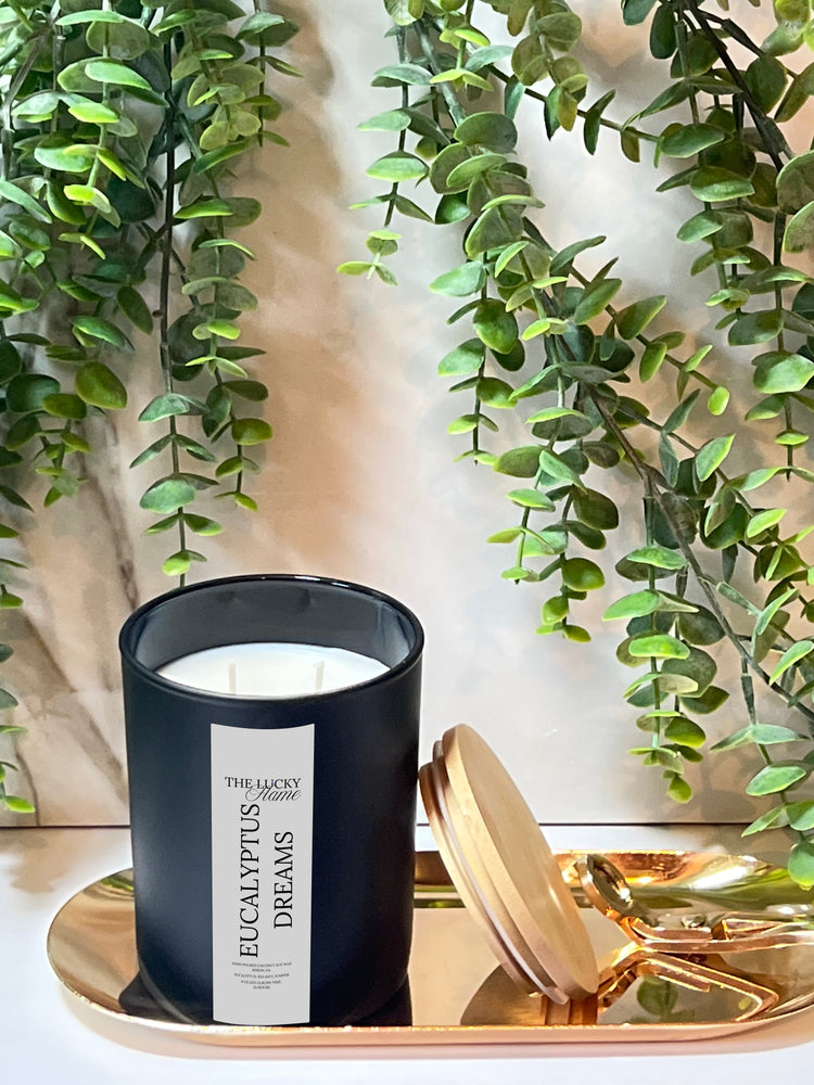Eucalyptus Dreams Candle – Eucalyptus, Spearmint & Cedarwood | Clean & Calming Coconut Soy Candle 9 oz