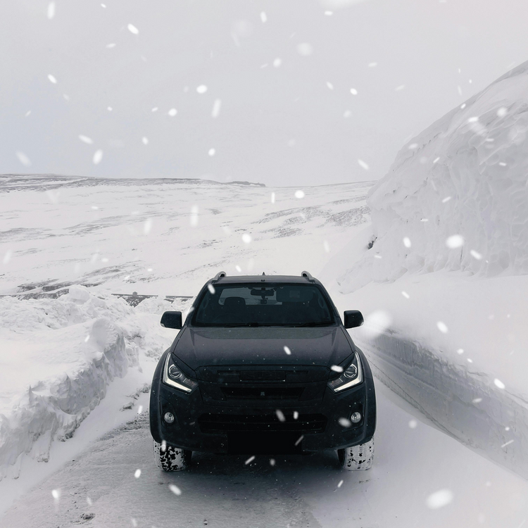 Midnight Drive Room, Linen & Car Spray — Lemon, Jasmine & Musk (4 oz)