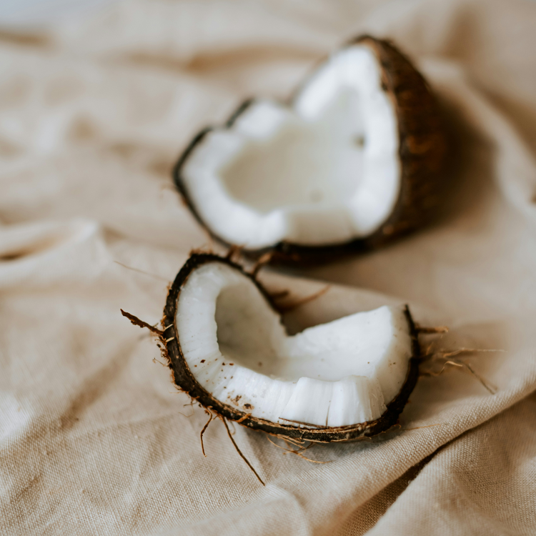 Unconditional Candle – Coconut, Cocoa Butter & Jasmine | Virgin Coconut Soy Wax 9 oz