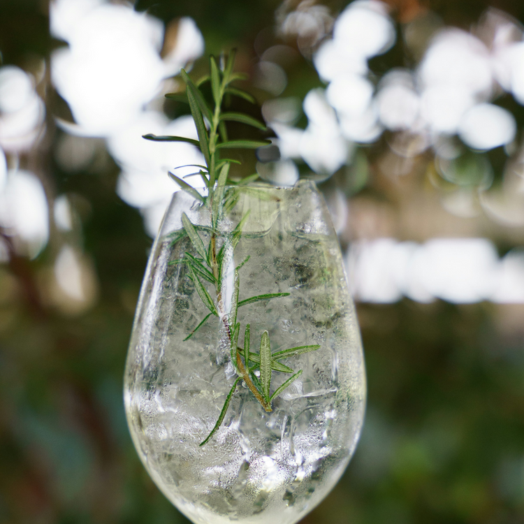 Be Still Candle – Cypress, Patchouli & Cedarwood | Tranquil & Earthy Coconut Soy Candle 9 oz