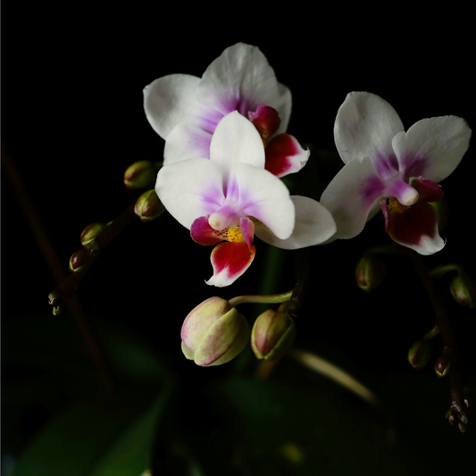 You’re Beautiful Candle