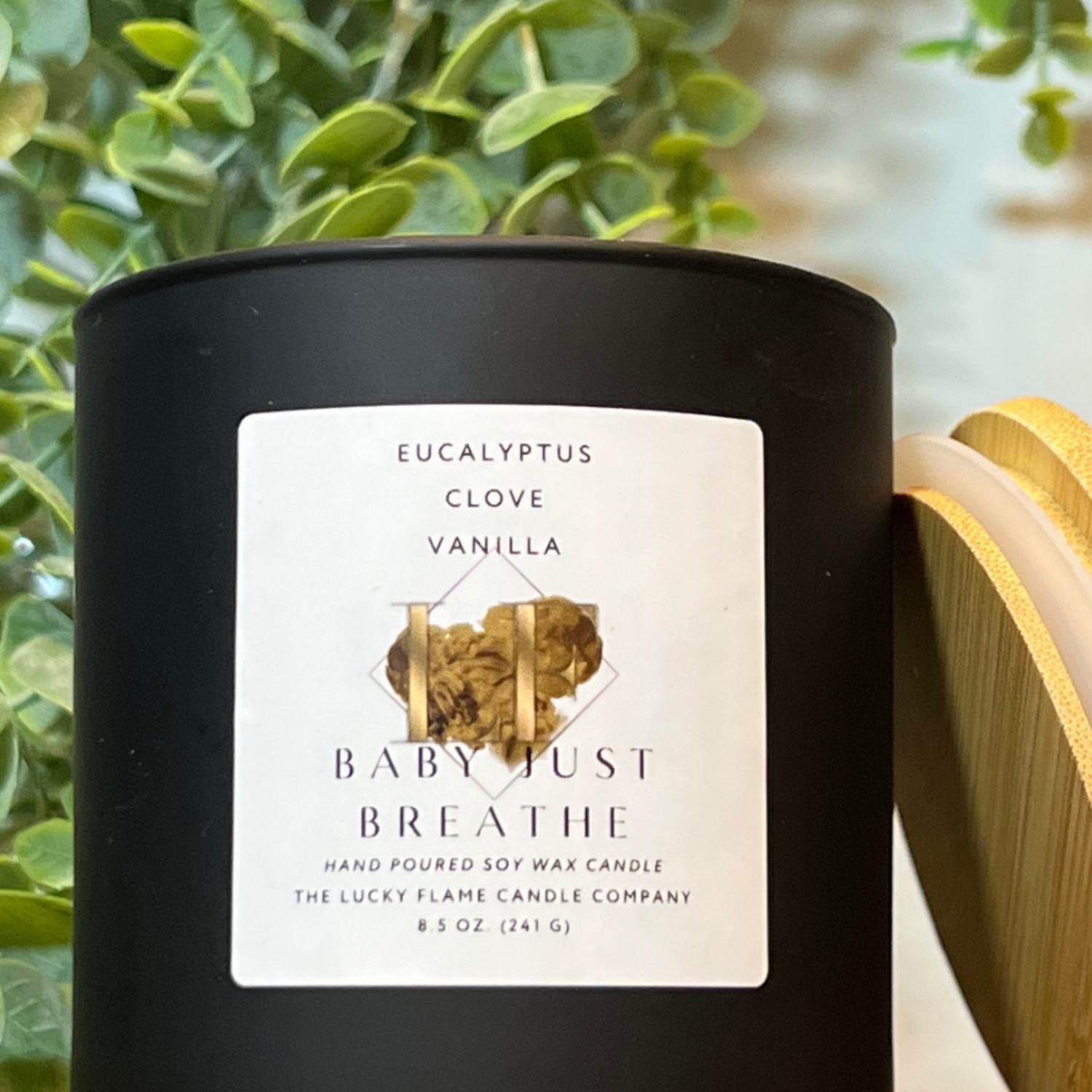 Clean & Fresh Collection