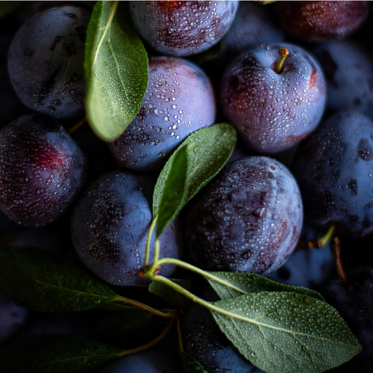 Sugar Plum Dreams – Black Cherry Merlot, Plum & Vanilla | Holiday Candle | 9 oz