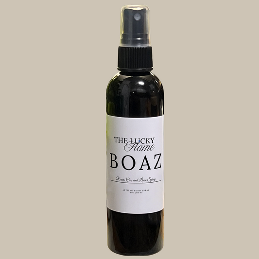 Wholesale 4 oz Car, Room & Linen Sprays – Case of 12 (Choose 2 Scents)